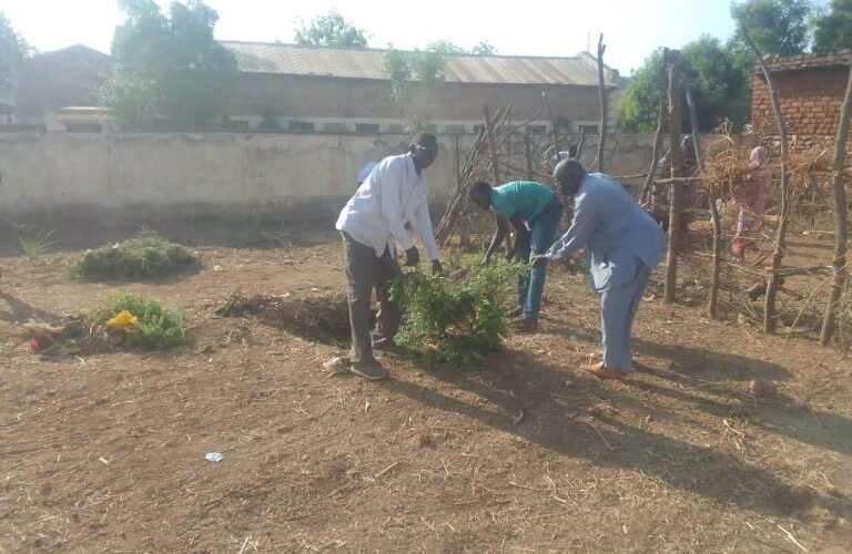 Biogas...a spark that lit the path to sustainable agriculture in Kordofan