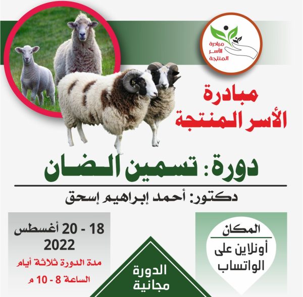 دورة تسمين الضأن